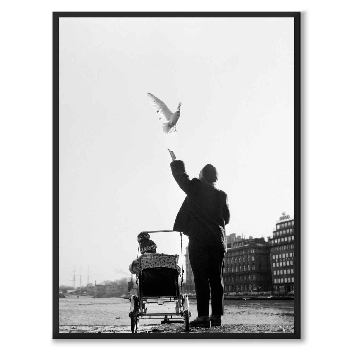 Nybroviken 1955