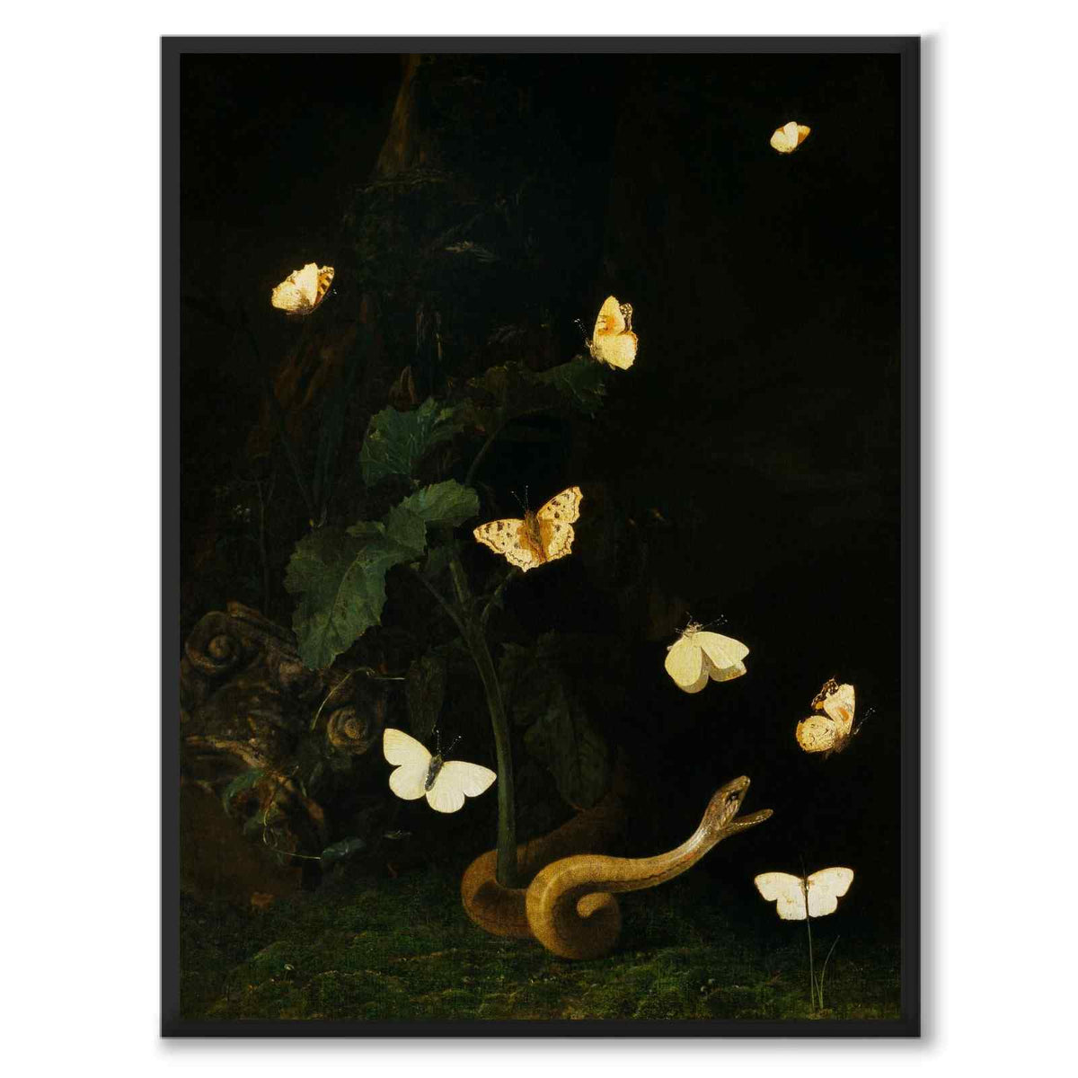 Herbs, Butterflies and a Serpent - Poster