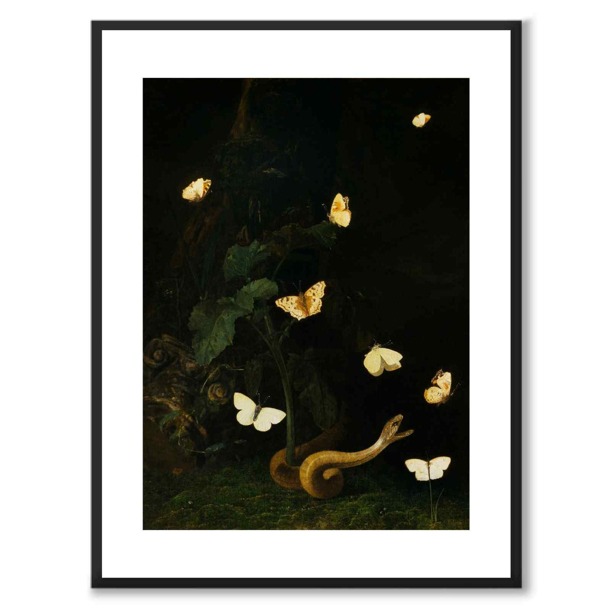 Herbs, Butterflies and a Serpent - Poster