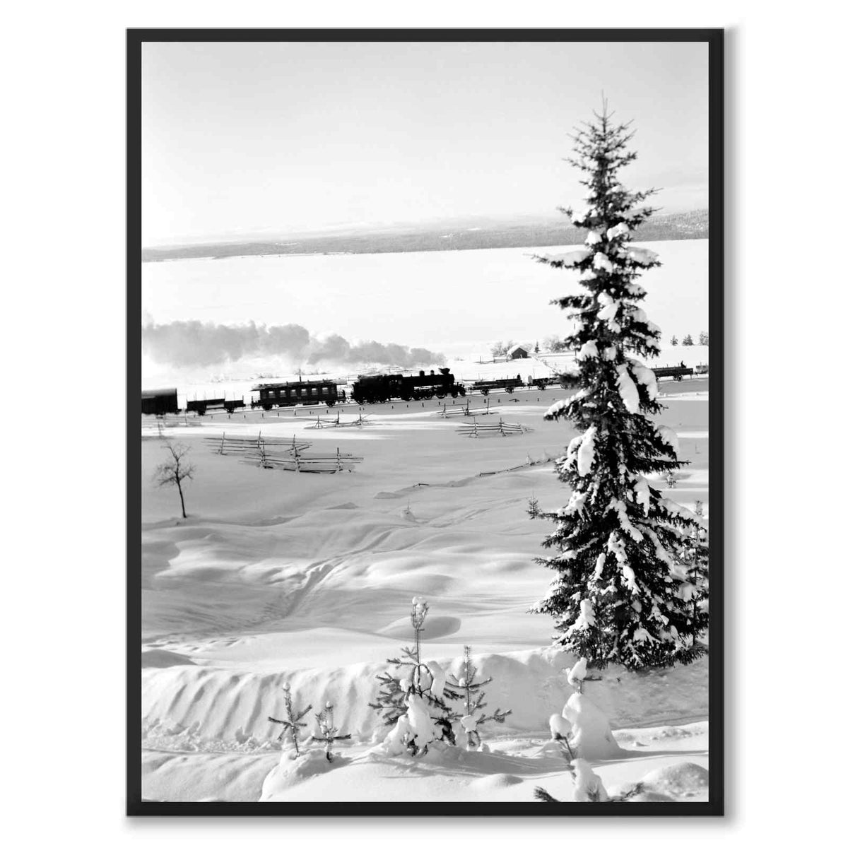 Winter Wonderland