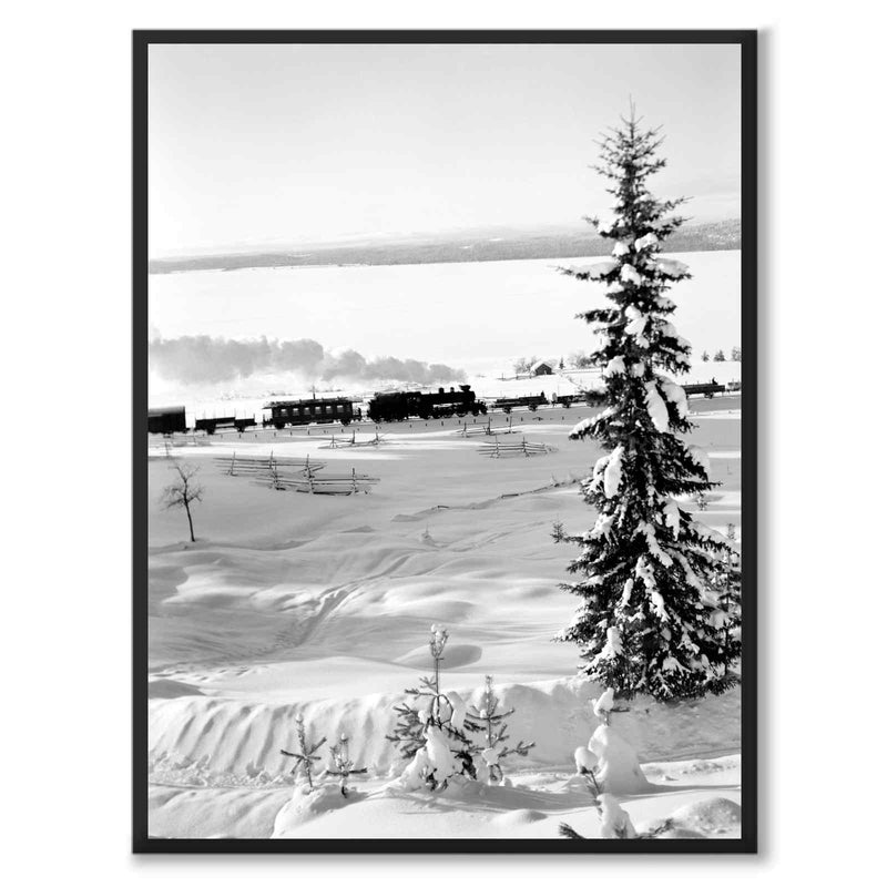 Winter Wonderland