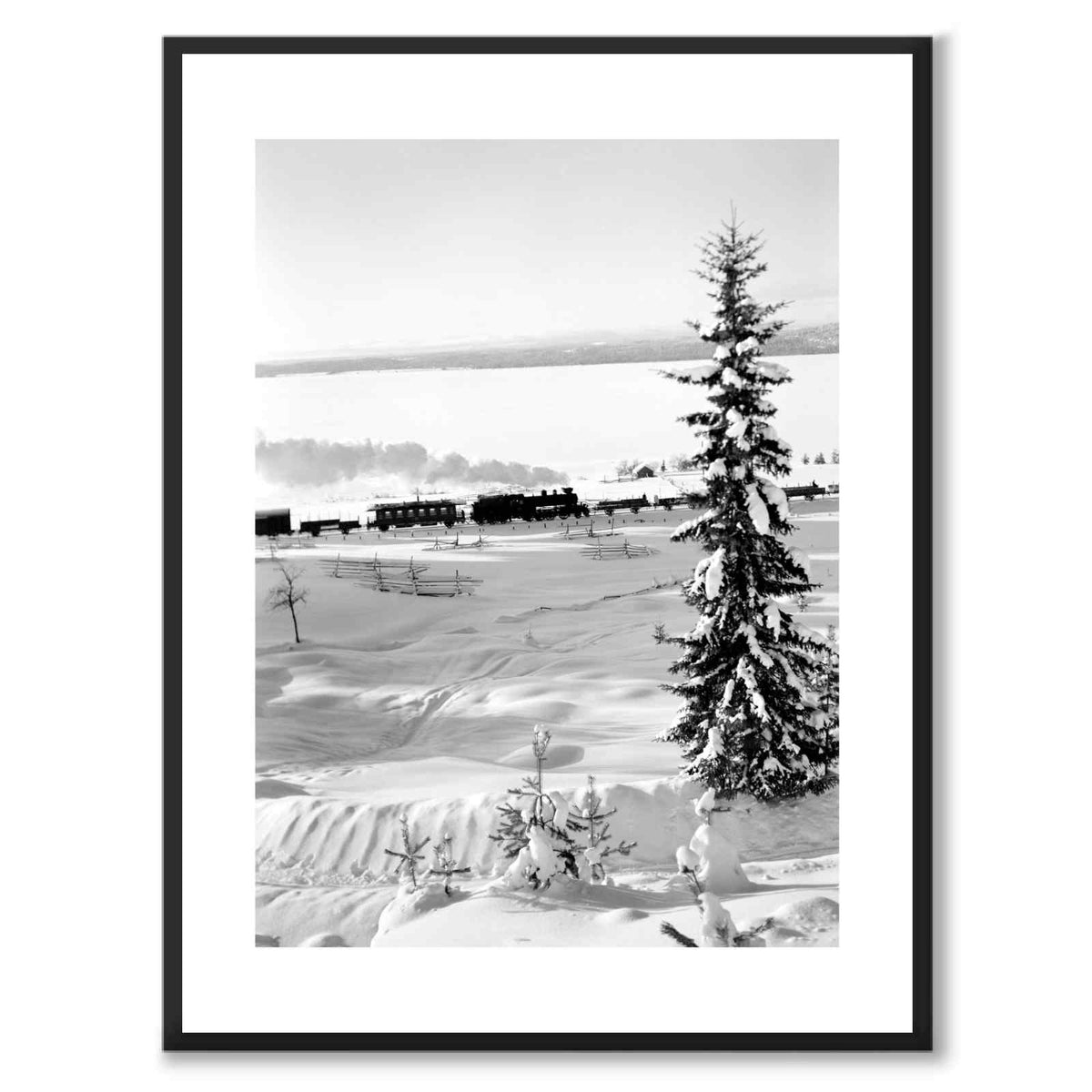 Winter Wonderland