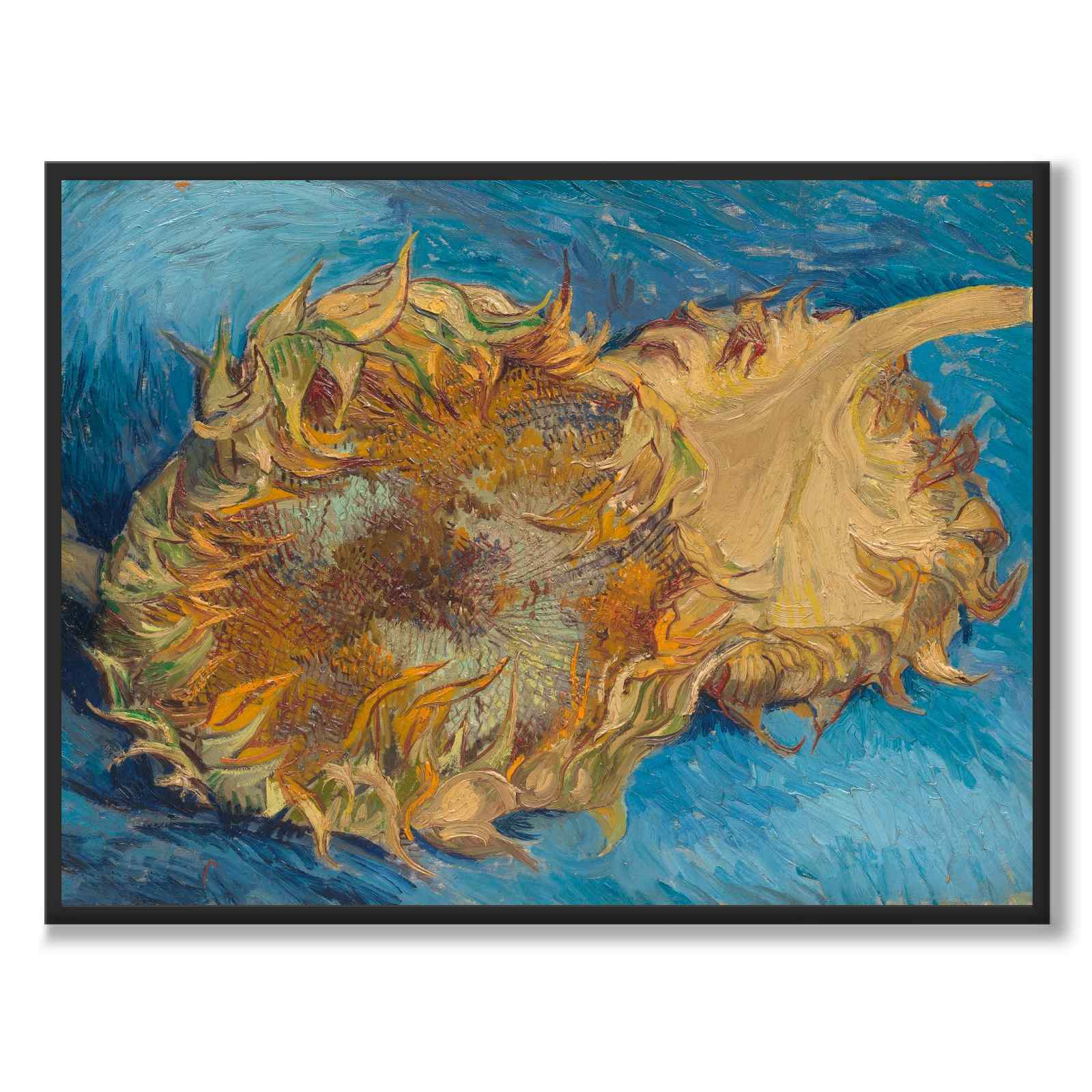 Sunflowers - Poster