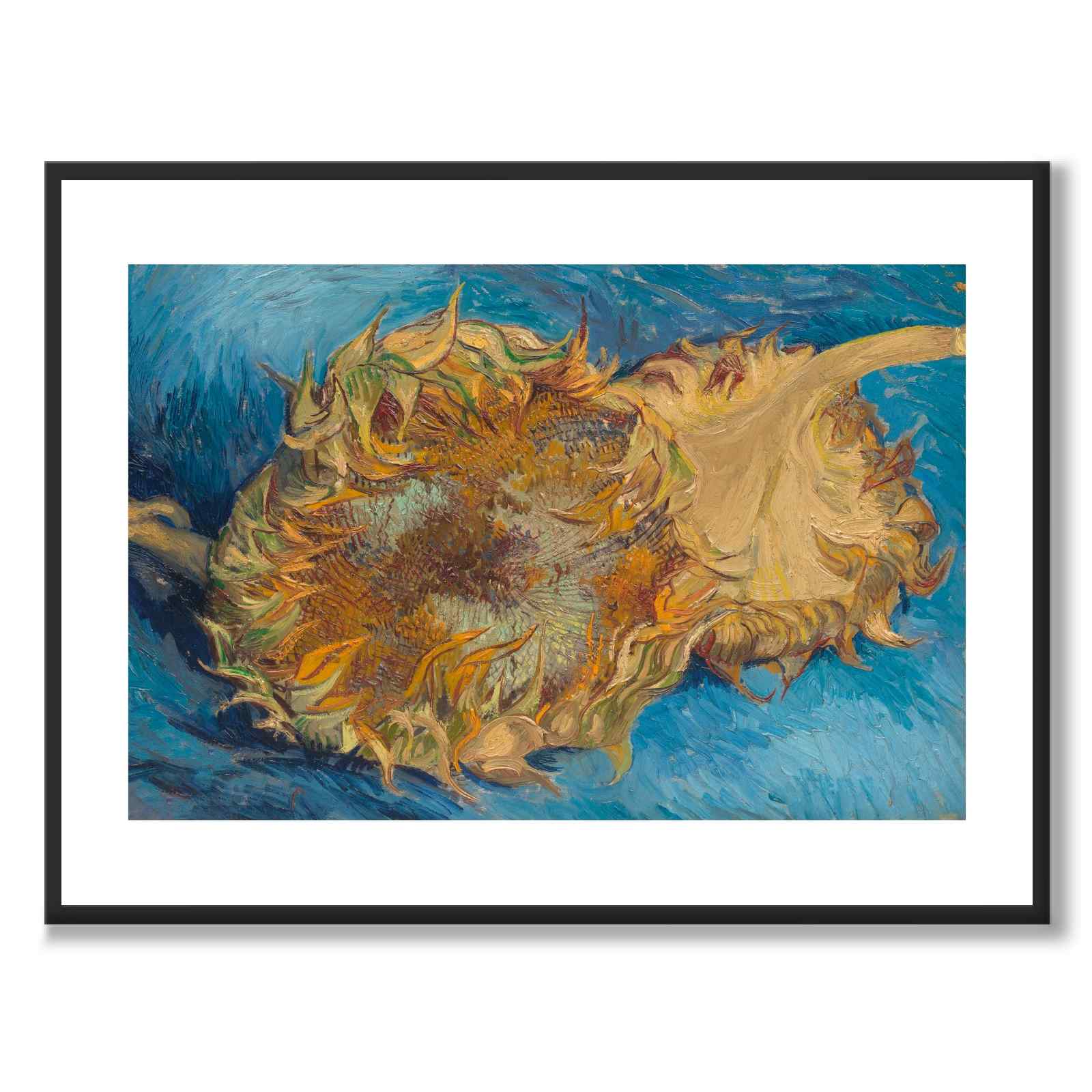 Sunflowers - Poster