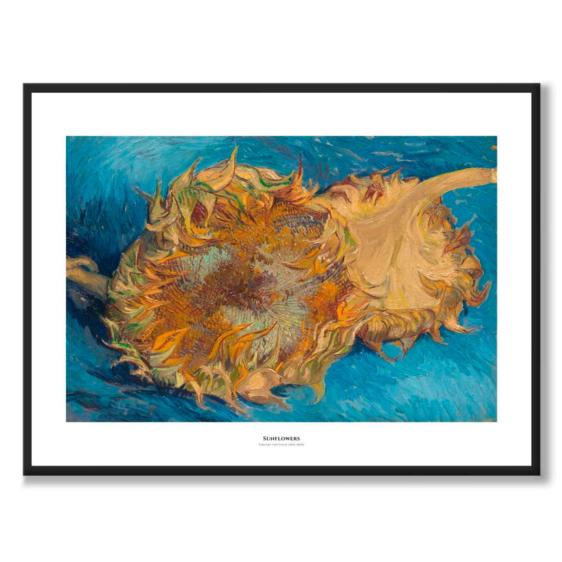 Sunflowers - Poster